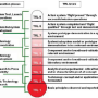 trl-levels-and-transition-phases-adapted-from-nasa-and-1.png